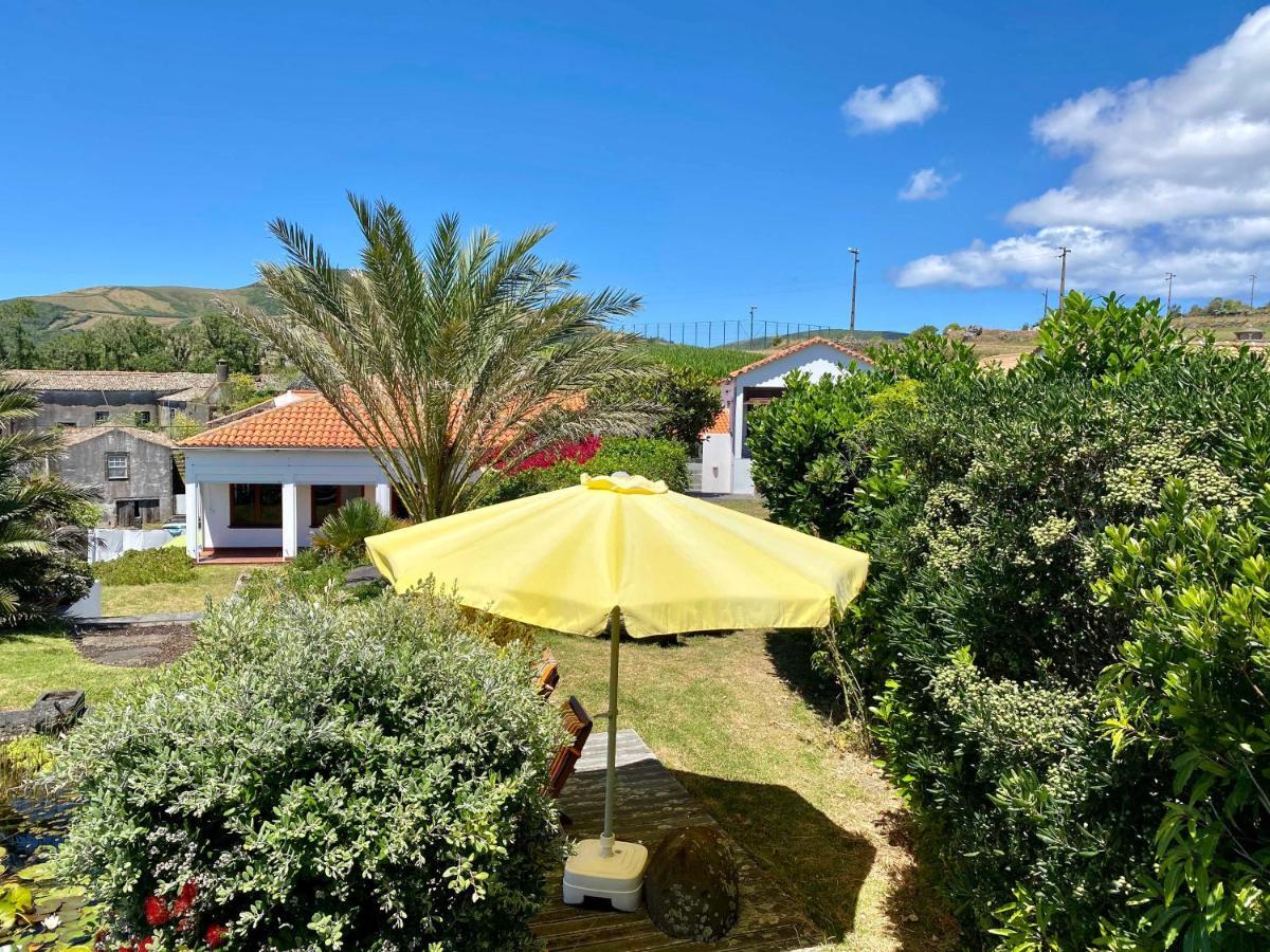 Quinta Perpetua, Casa Pico Villa Alto do Sul Exteriör bild