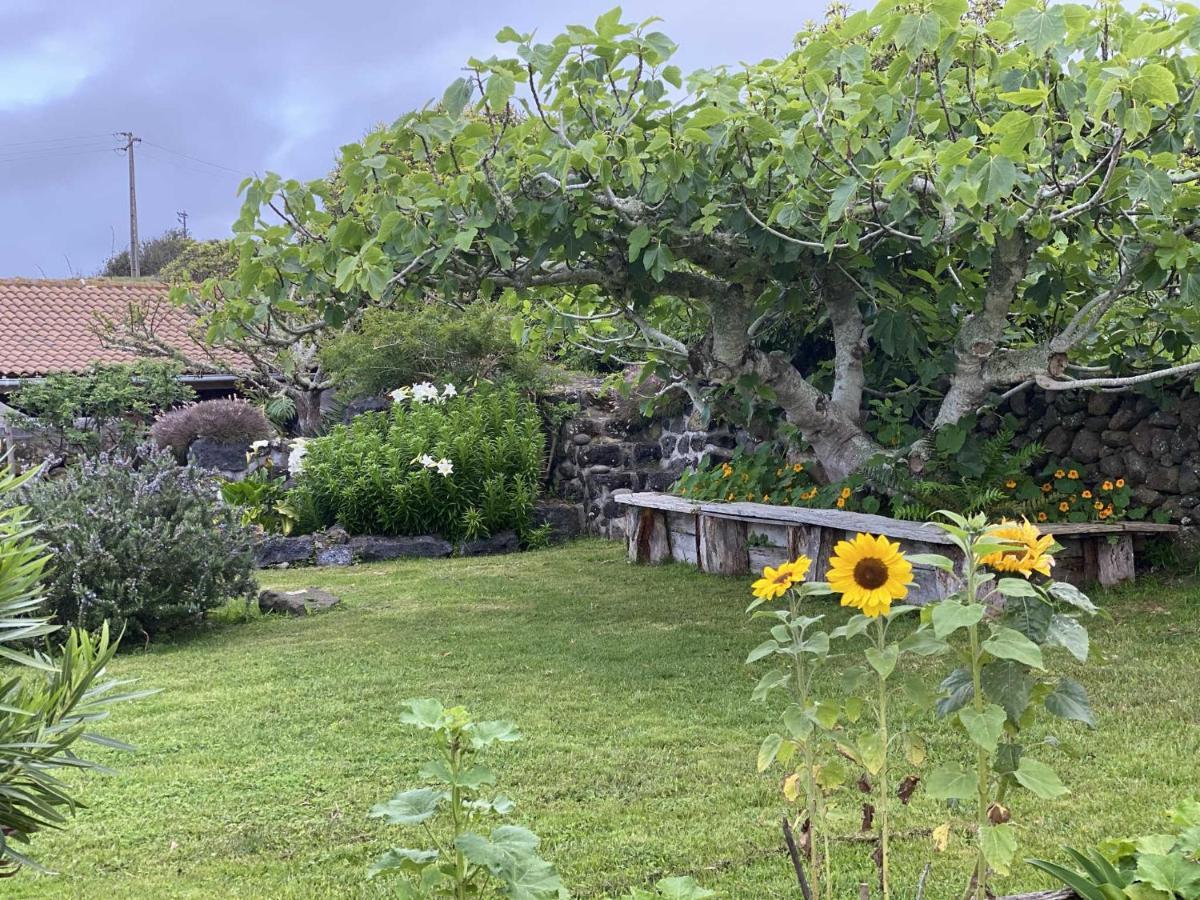 Quinta Perpetua, Casa Pico Villa Alto do Sul Exteriör bild